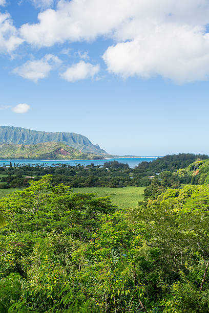 hanalei bay, insel kauai in hawaii - hanalei stock-fotos und bilder