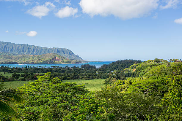 istock Hanalei Bay, Kauai Island in Hawaii 455132221