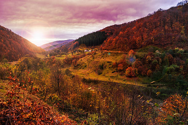 istock light  beam falls on hillside with autumn forest in mountain 455134317