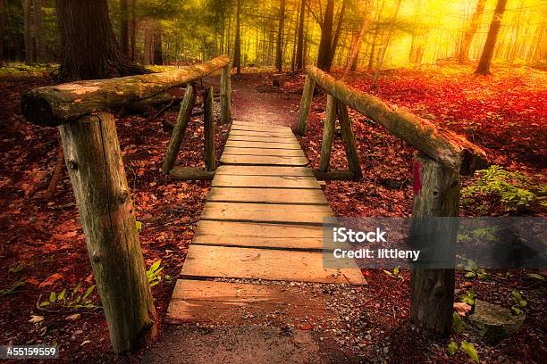 Footbridge Stock Photo - Download Image Now - Adventure, Autumn, Backgrounds