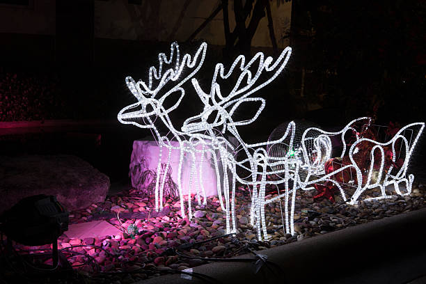 istock shining christmas reindeer. 455168389