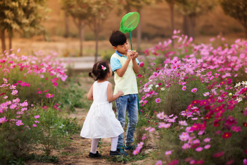 Asian boy and girl caught a butterfly in the garden