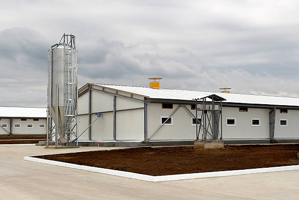 Technical room for the pigs on a cloudy day