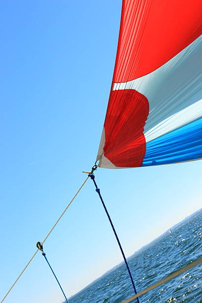 istock The wind has filled colorful spinnaker sail 455180799