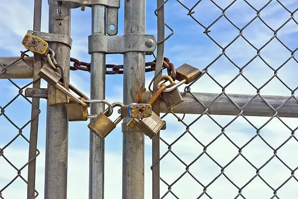 Photo of Padlocks Chainlink Fence