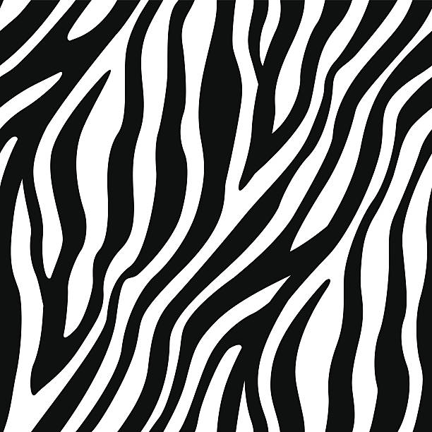 бесшовный узор зебры полосы - zebra africa wildlife nature stock illustrations