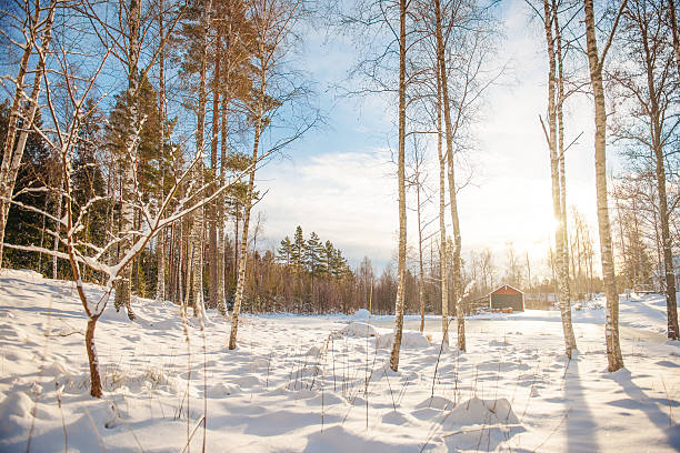 зима в швеции - awe non urban scene rural scene minus degrees стоковые фото и изображения