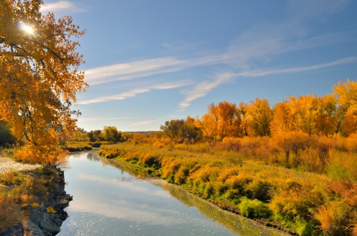 This is a branch of the Yellowstone River that goes through the Riverfront Park in Billings Montana. It is fall and the Cottonwood trees are golden and haven't dropped their leaves yet