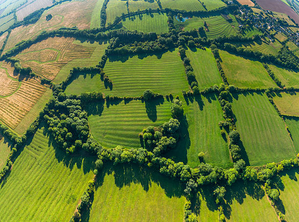 istock Vibrant green fields pasture hedgerows aerial countryside vista 455204227