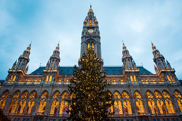 Christmas tree with Vienna Town Hall in background, Austria Christmas tree in front of Town Hall (Rathaus) of Vienna, Austria vienna city hall stock pictures, royalty-free photos & images