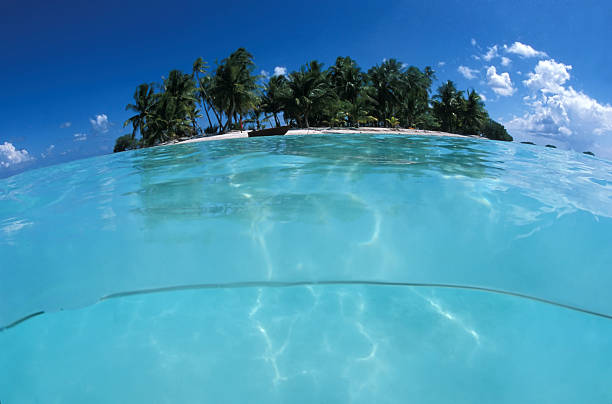istock Lagoon and turquoise water in Polynesia 455207059