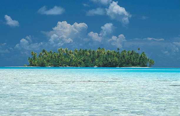 Desert island and coconut trees in Tahiti Polynesia stock photo