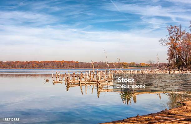 Lake And Fallen Trees Stock Photo - Download Image Now - Color Image, Dead Plant, Deforestation