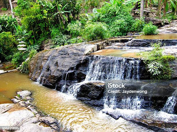 Corrente No Resort - Fotografias de stock e mais imagens de Arbusto - Arbusto, Bolha - Estrutura Física, Castanho