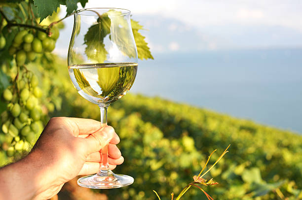 istock Wineglass in the hand 455222465