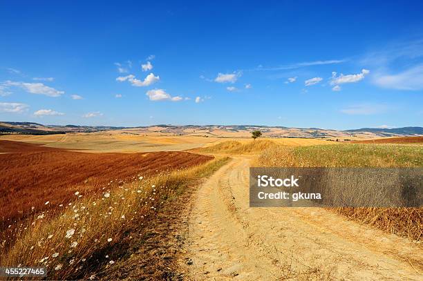Fields Of Tuscany Stock Photo - Download Image Now - Agricultural Field, Agriculture, Beauty In Nature