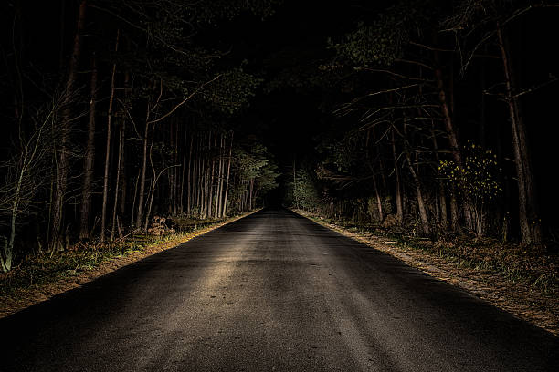 숙박 road - horizon over land rural scene horizon landscaped 뉴스 사진 이미지