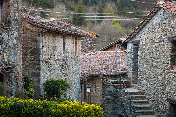 Beget 220+ Beget Stock Photos, Pictures & Royalty-Free Images - iStock