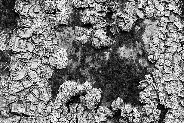 abstrakter hintergrund - metal rust fungus paint cracked stock-fotos und bilder