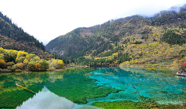 istock Five flower lake, Jiuzhaigou 455237057