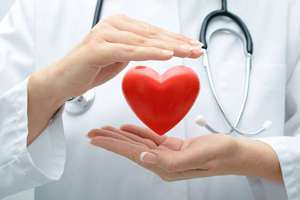 médico segurando coração - heart shape giving human hand gift imagens e fotografias de stock