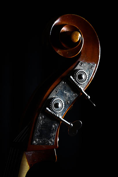 istock Vintage double bass head 455240559