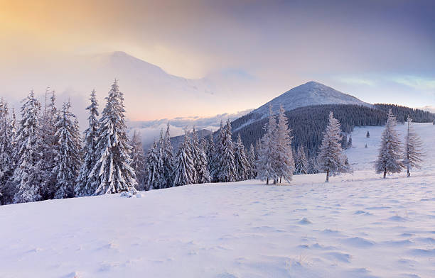 istock Colorful winter sunrise in the mountains. 455244755