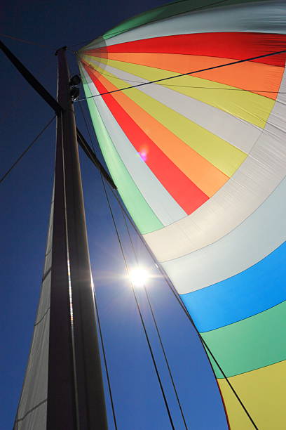 istock The wind has filled colorful spinnaker sail 455248841