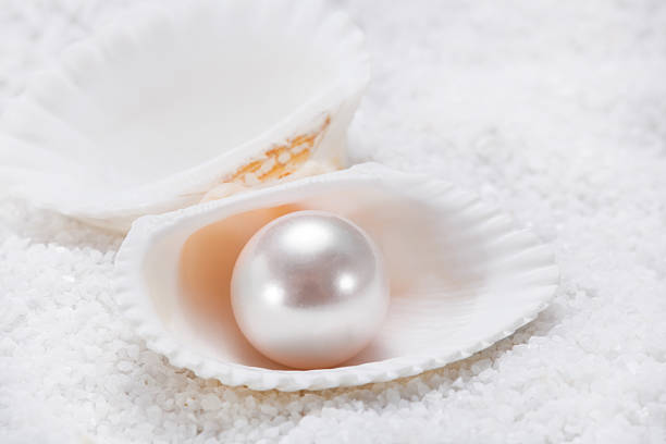 Pearl Pearl in a shell. bead photos stock pictures, royalty-free photos & images