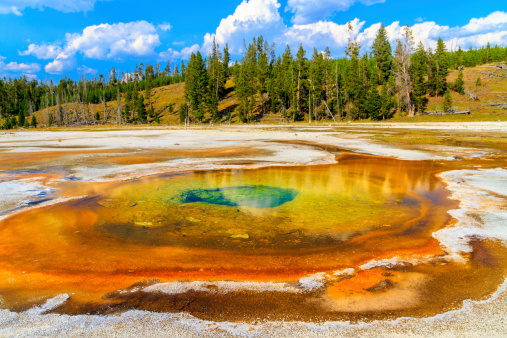 Chromatic Pool Panorama, Yellowstone National Park, Upper Geyser Basin, Wyoming