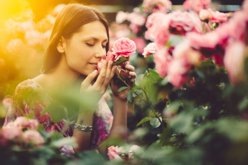 Pretty beauty smelling roses