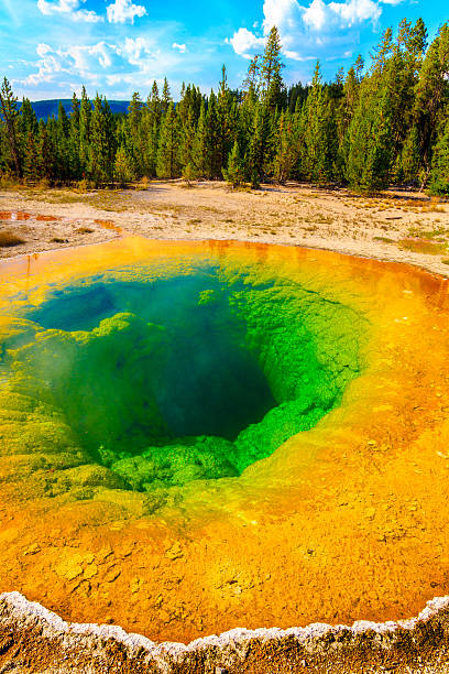 morning glory thermal pool, yellowstone national park, wyoming - caldera stock-fotos und bilder