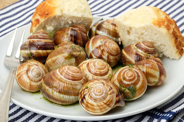 Half dozens of escargots serves as an appetizer in western restaurant.