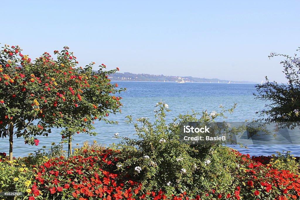 Flowerbed am Lake Constance - Lizenzfrei Insel Mainau Stock-Foto