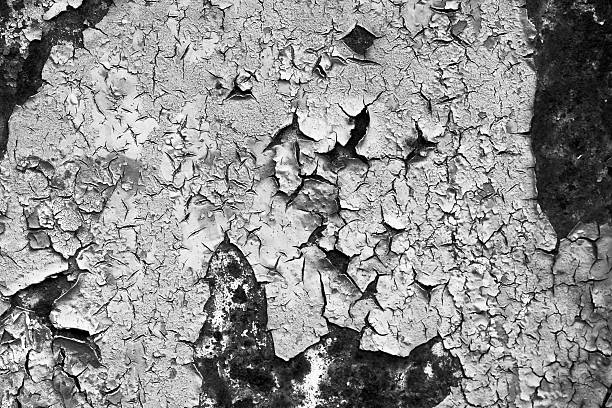 추상적 배경 - metal rust fungus paint cracked 뉴스 사진 이미지