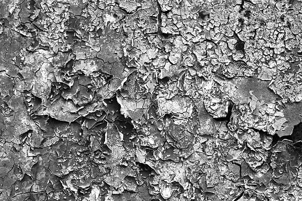 추상적인 배경 - metal rust fungus paint cracked 뉴스 사진 이미지