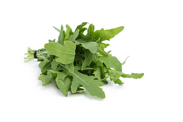 istock tied bunch of fresh arugula 455272301