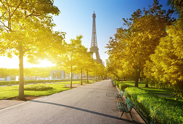 istock autumn morning and Eiffel Tower, Paris, France 455273889