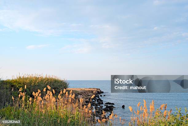 Deserted Stony Beach Stock Photo - Download Image Now - Bay of Water, Beach, Beauty
