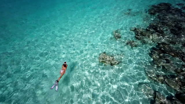 video of unrecognizable woman snorkeling at a Caribbean reef