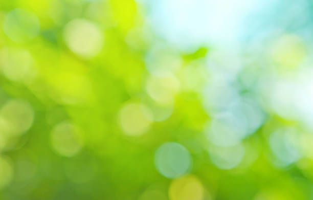 istock colorful background in green colors 455285427
