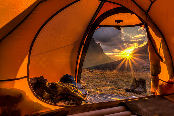 Espiada para fora da tenda - foto de acervo