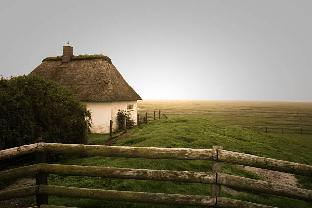 Frisian cottage stock photo