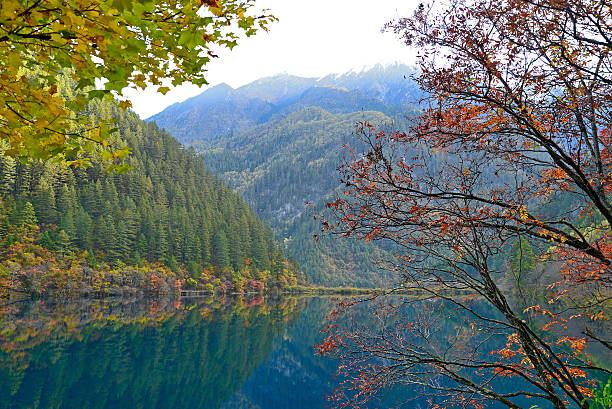 istock Mirror lake, Jiuzhaigou 455289229