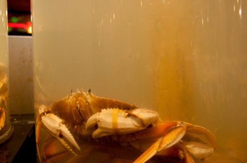 A live crab in a tank at Pike Place Market.