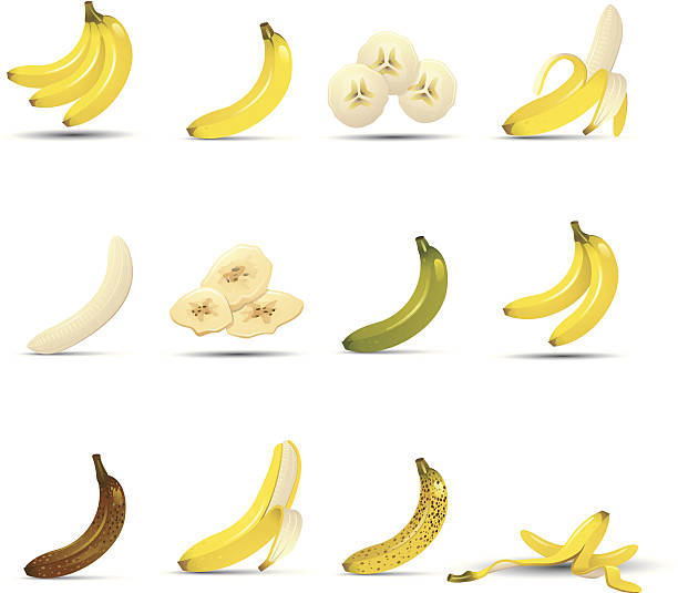 ilustrações de stock, clip art, desenhos animados e ícones de ícones de banana - ramo parte de uma planta ilustrações