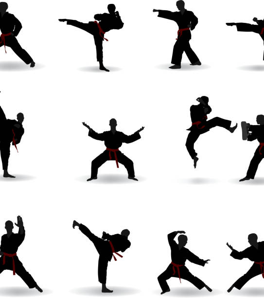 무술의 - karate kicking tae kwon do martial stock illustrations