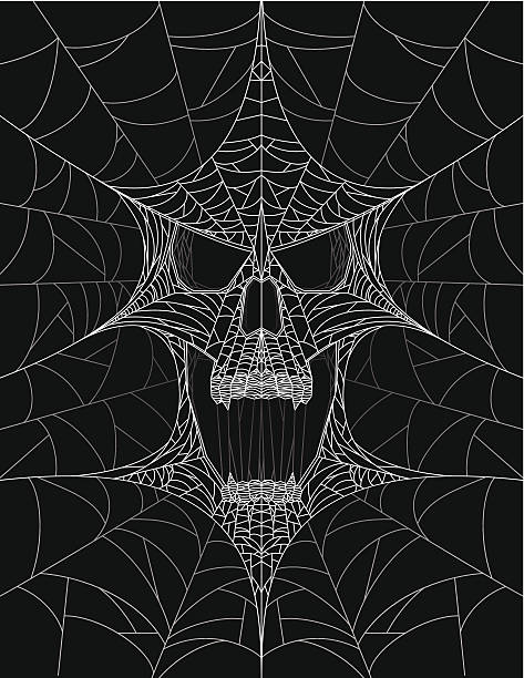 Skull Web vector art illustration