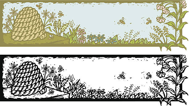 Banner de Grunge com Skep, abelhas e flores - ilustração de arte vetorial