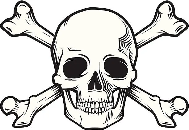Vector illustration of skull and bones